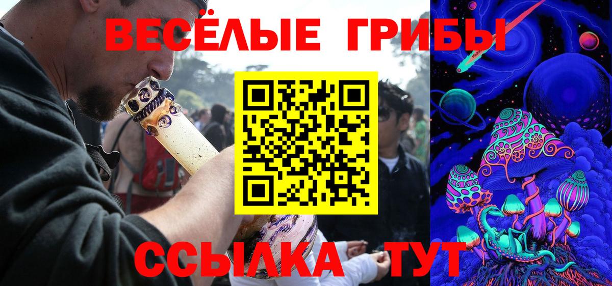 Псилоцибиновые грибы Psilocybine cubensis Добрянка