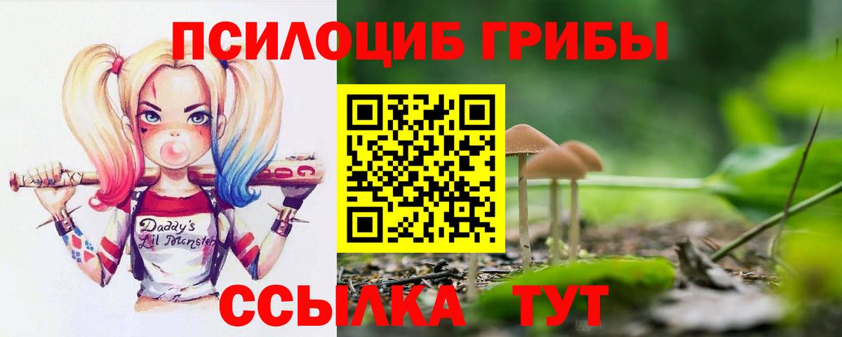 Добрянка  Галлюциногенные грибы Psilocybe  Вход с VPN 